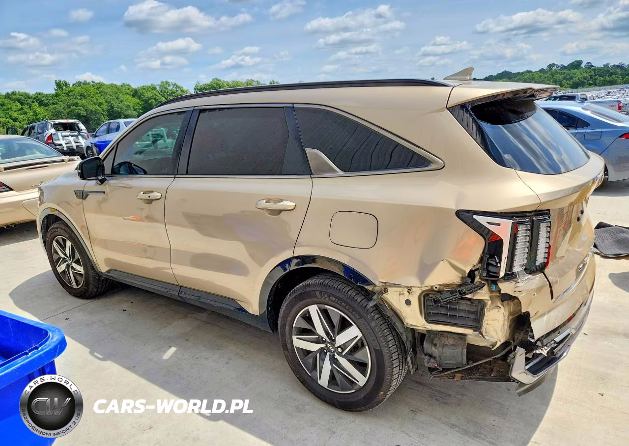 2021 Kia Sorento S VIN:5XYRL4LC9MG009906 - 2