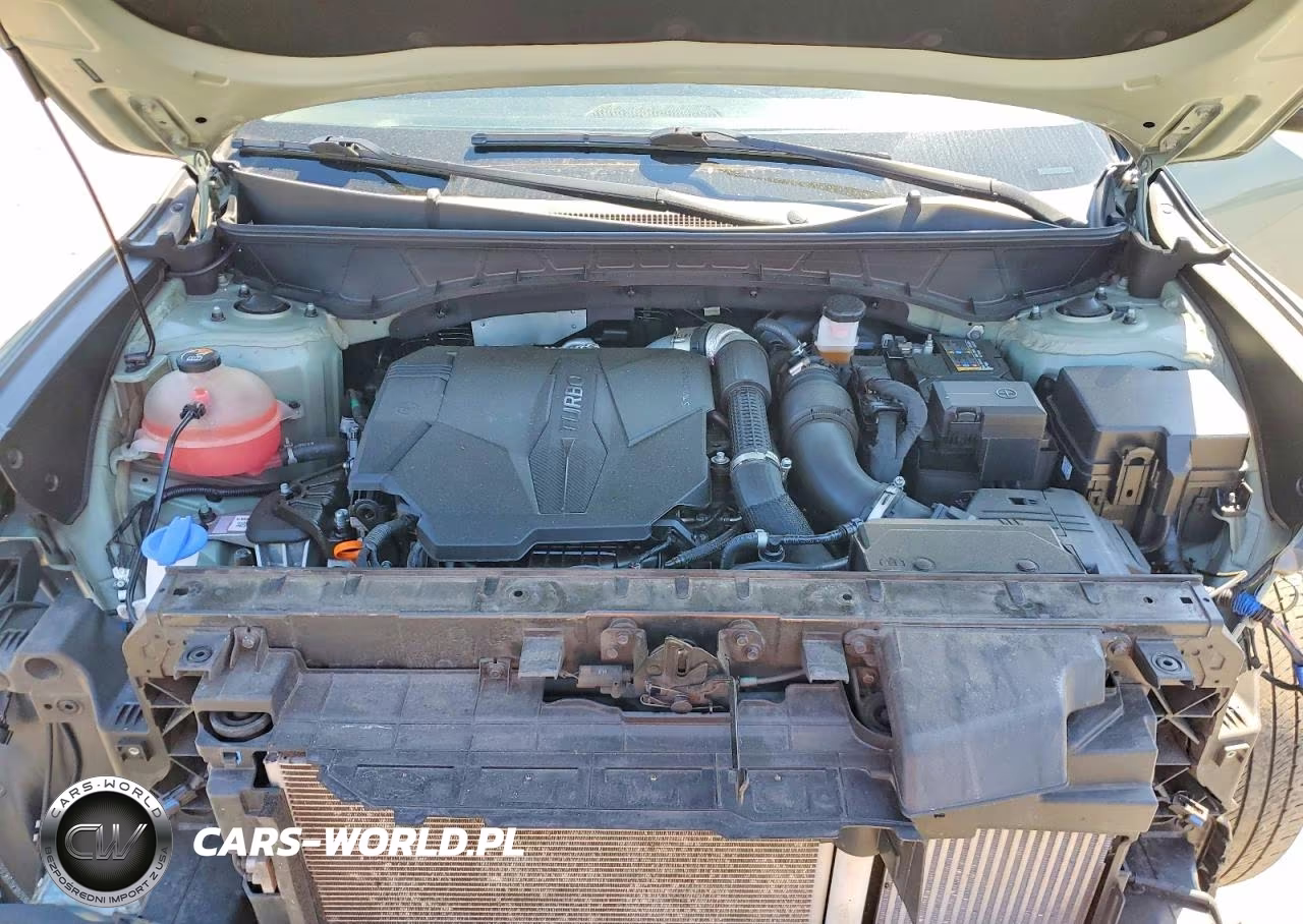 2022 Hyundai Santa Cruz Sel Premium VIN:5NTJDDAF0NH024328 - 11