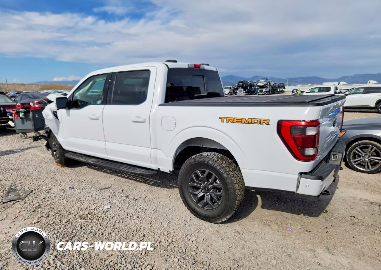2022 Ford F150 Supercrew VIN:1FTEW1E81NFB36490 - 2