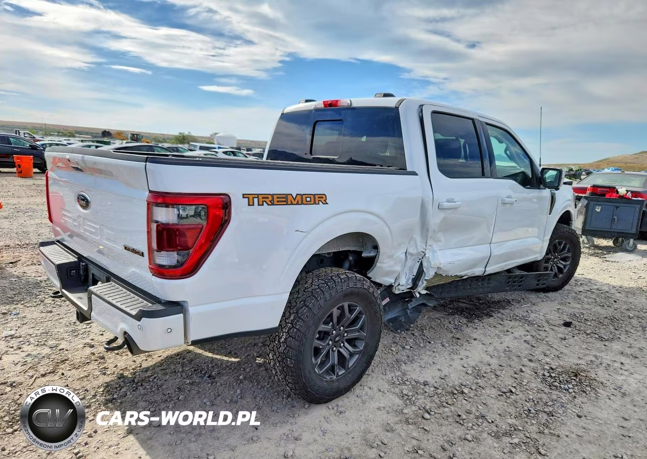 2022 Ford F150 Supercrew VIN:1FTEW1E81NFB36490 - 3