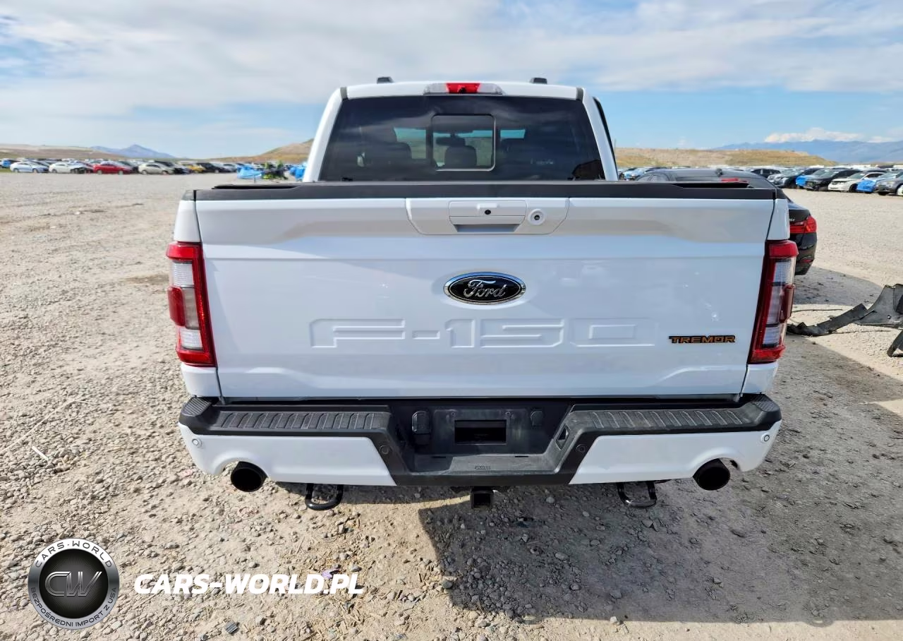 2022 Ford F150 Supercrew VIN:1FTEW1E81NFB36490 - 6