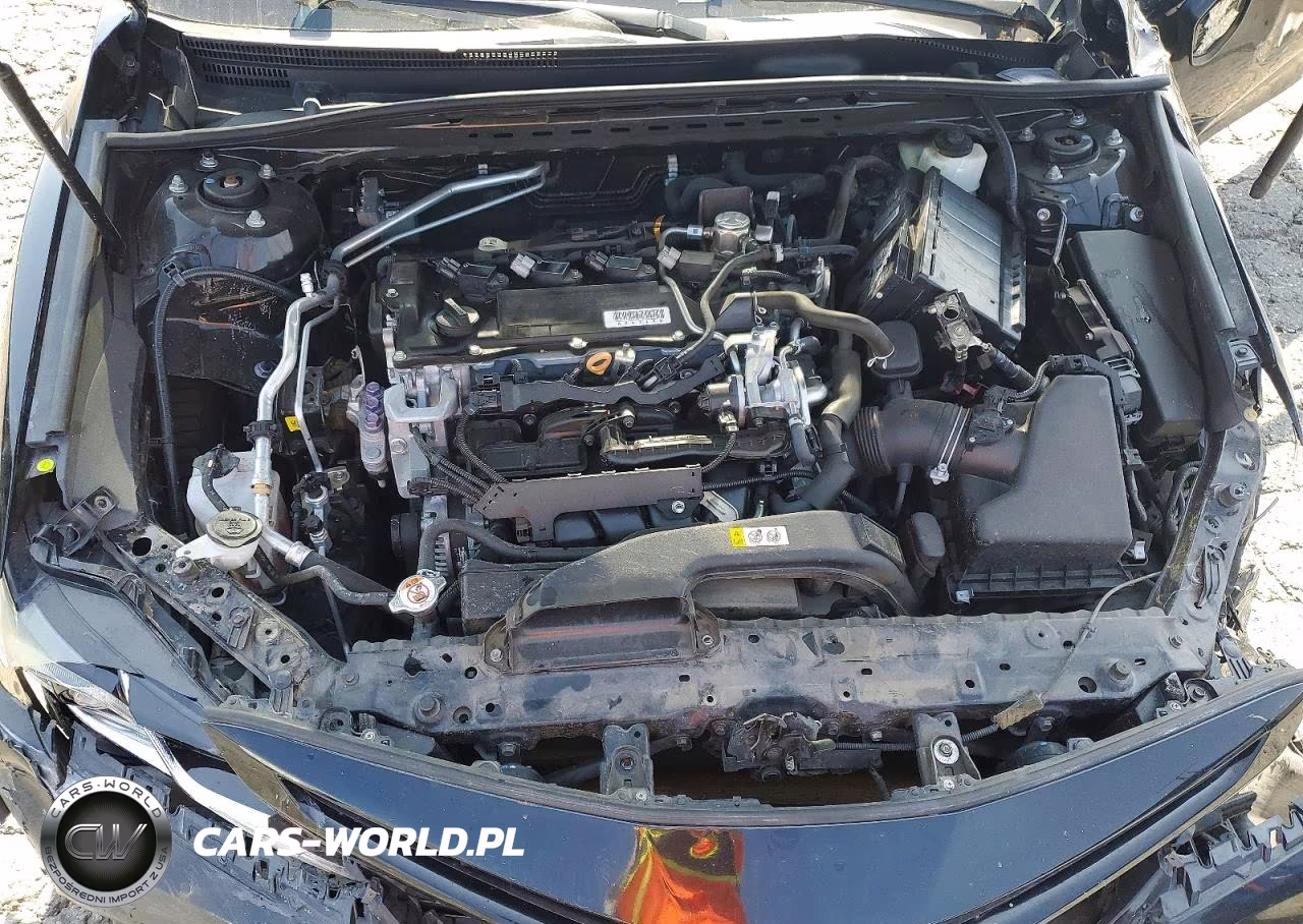 2019 Toyota Camry Se VIN:4T1B11HK2KU776204 - 11