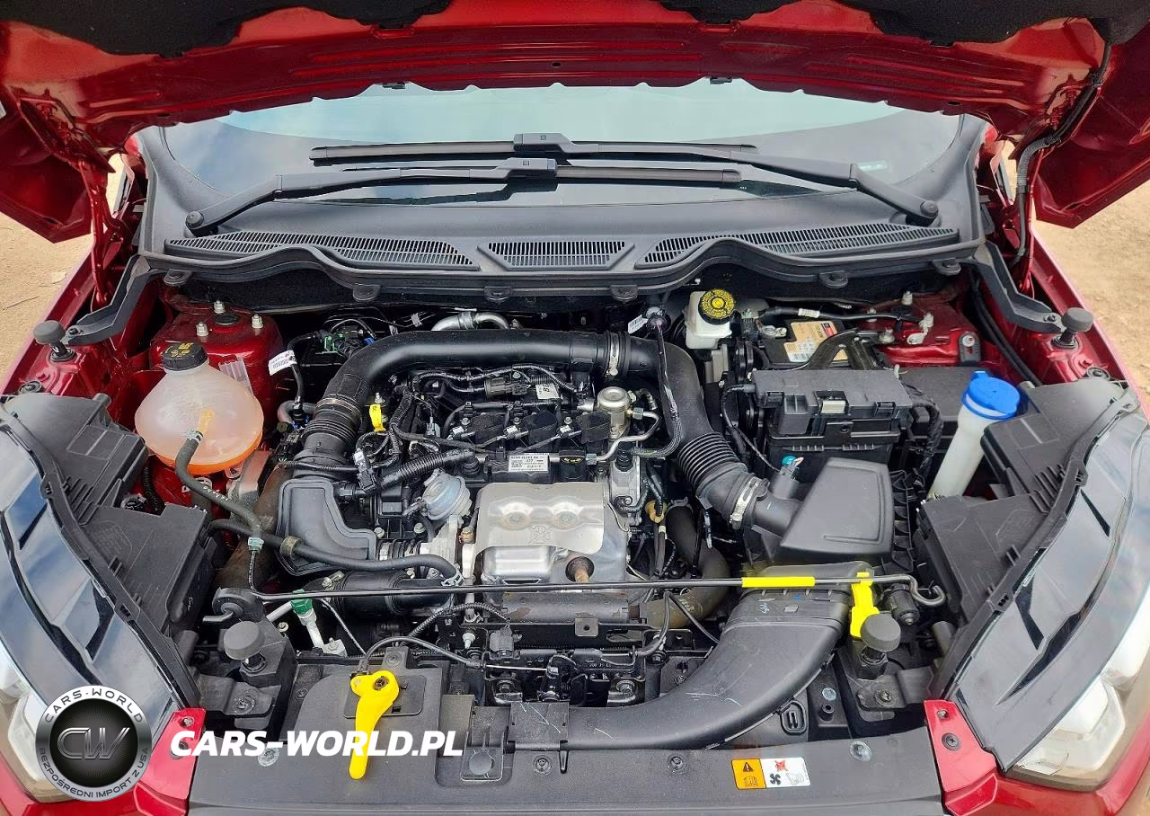 2020 Ford Ecosport Se VIN:MAJ3S2GE9LC335125 - 11