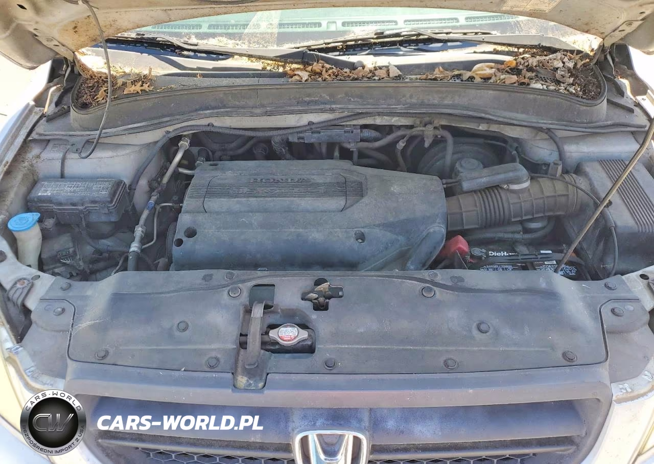 2004 Honda Pilot Exl VIN:2HKYF18574H542079 - 12