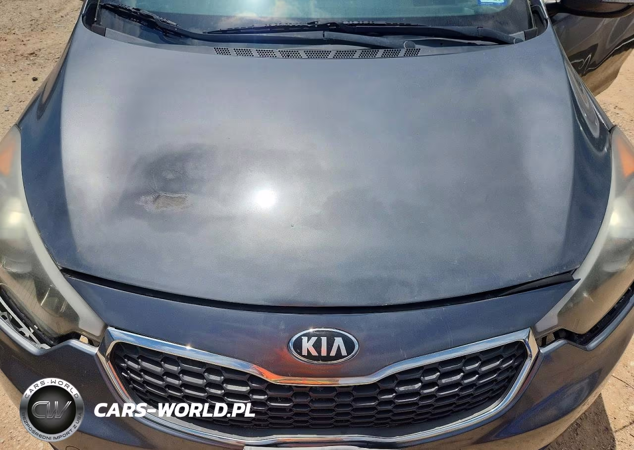 2016 Kia Forte Lx VIN:KNAFX4A62G5445690 - 11