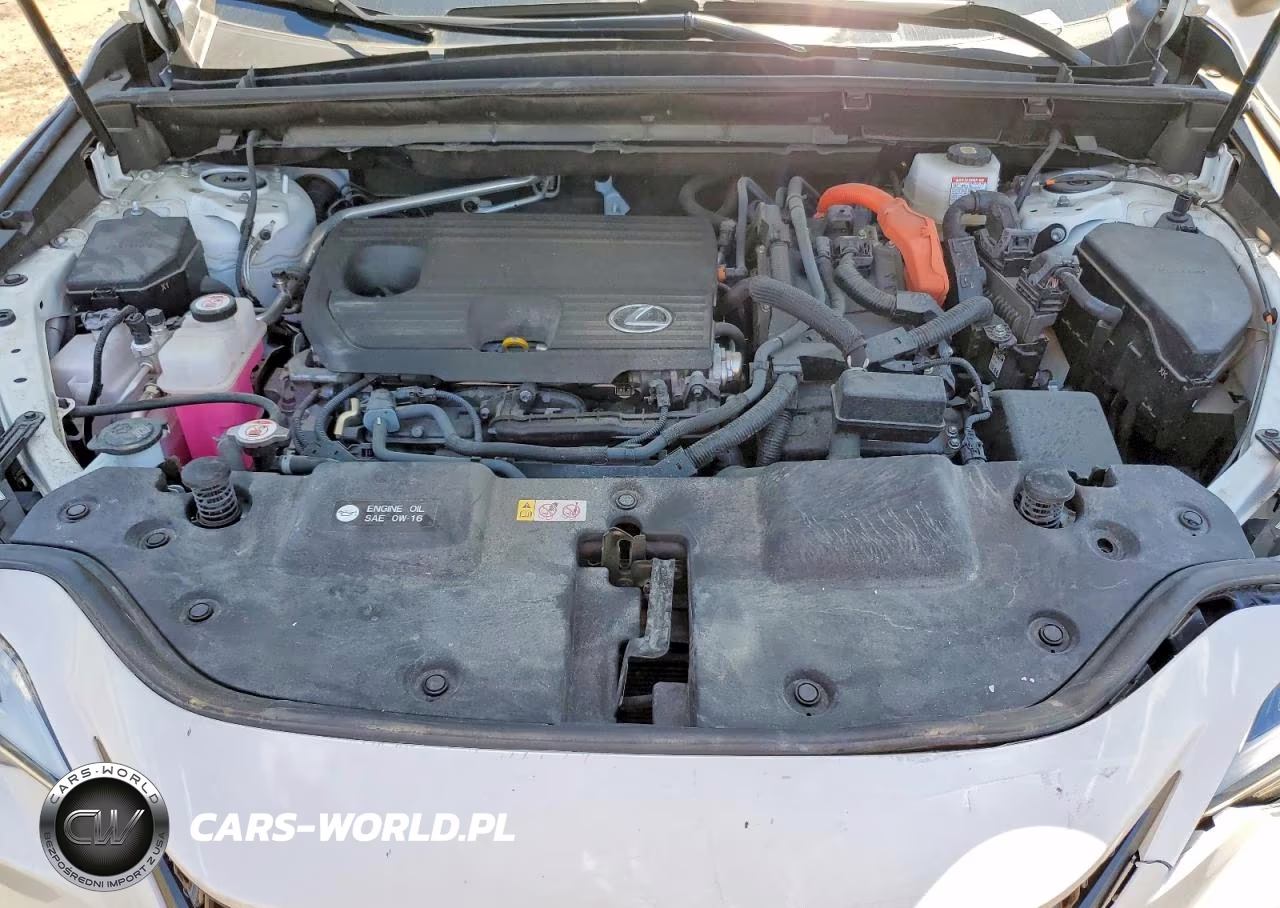 2024 Lexus Nx 350H Premium VIN:JTJGKCEZ6R5021515 - 12