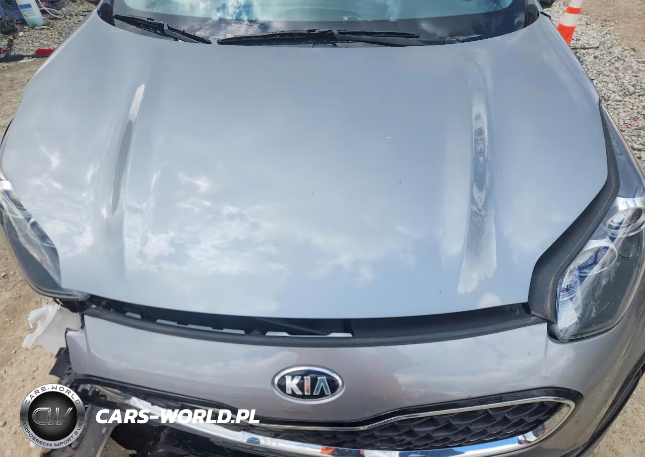 2022 Kia Sportage Lx VIN:KNDPMCACXN7000003 - 12