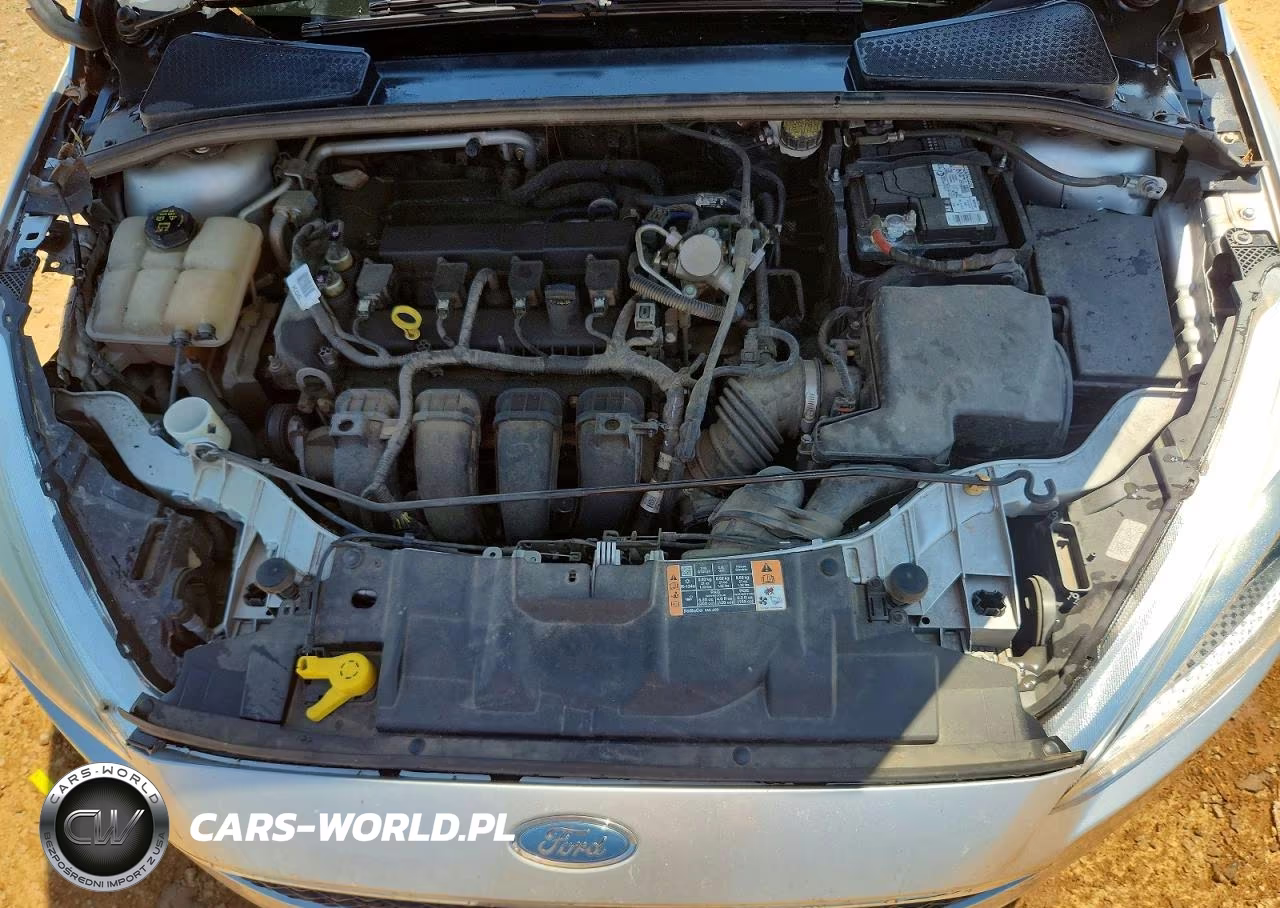 2016 Ford Focus S VIN:1FADP3E22GL376433 - 11