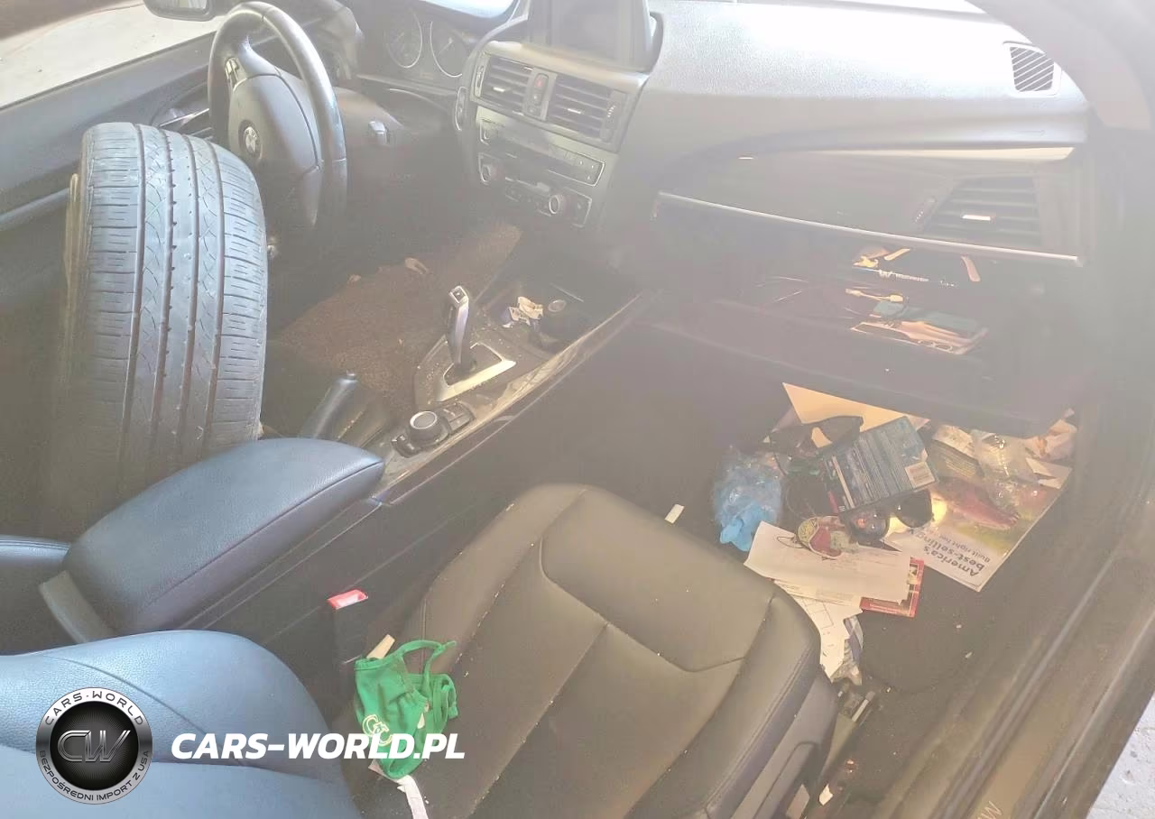 2014 BMW 228 I VIN:WBA1F5C50EVV99044 - 10