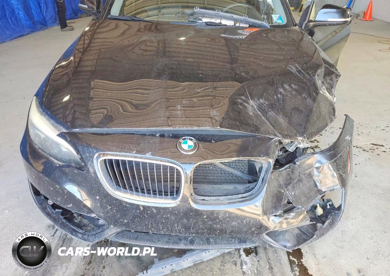 2014 BMW 228 I VIN:WBA1F5C50EVV99044 - 11