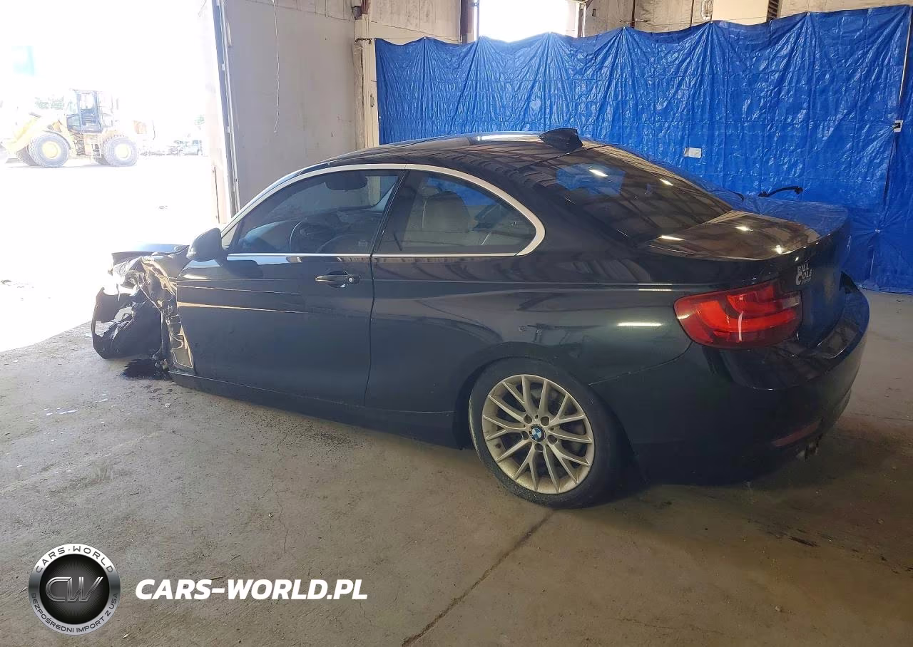 2014 BMW 228 I VIN:WBA1F5C50EVV99044 - 2