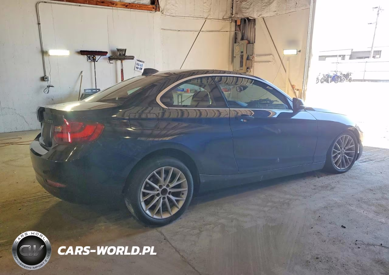2014 BMW 228 I VIN:WBA1F5C50EVV99044 - 3