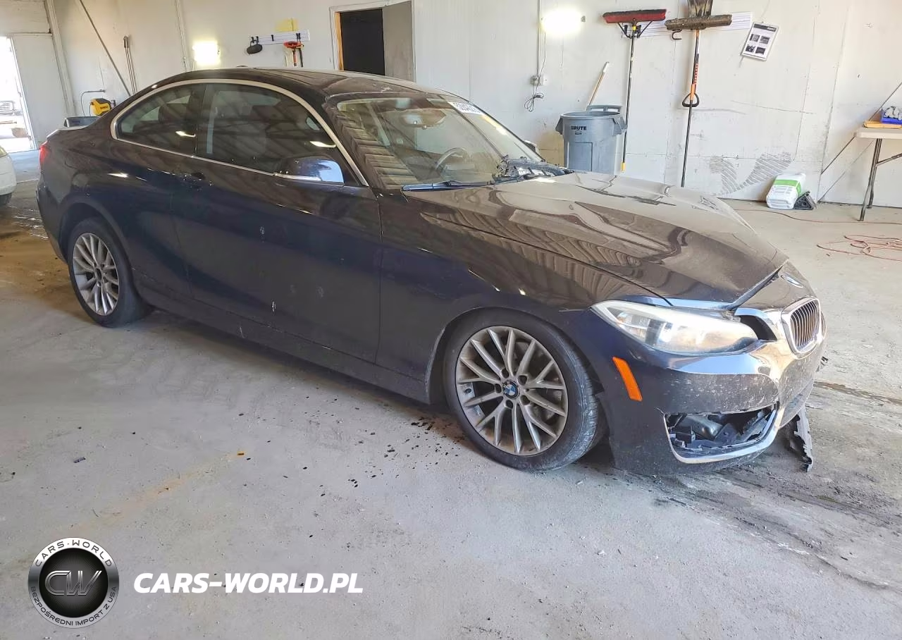 2014 BMW 228 I VIN:WBA1F5C50EVV99044 - 4