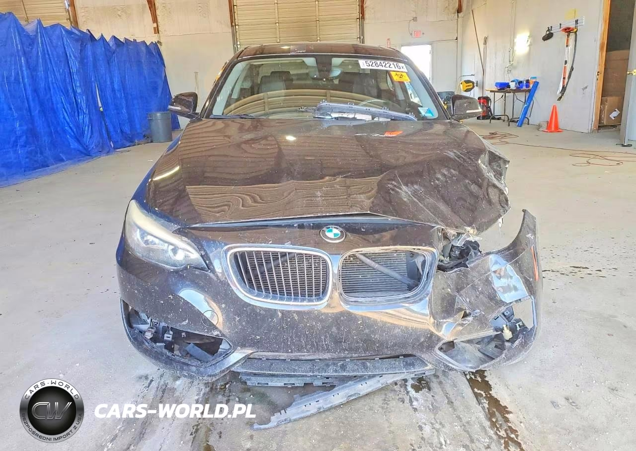 2014 BMW 228 I VIN:WBA1F5C50EVV99044 - 5