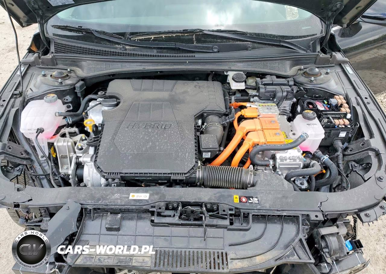 2025 Hyundai Elantra Limited VIN:KMHLN4DJ9SU175931 - 11