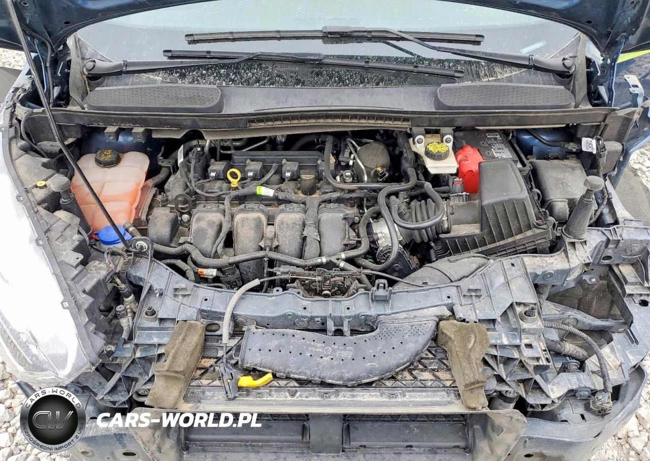 2019 Ford Transit Connect Xlt VIN:NM0GS9F24K1404824 - 11