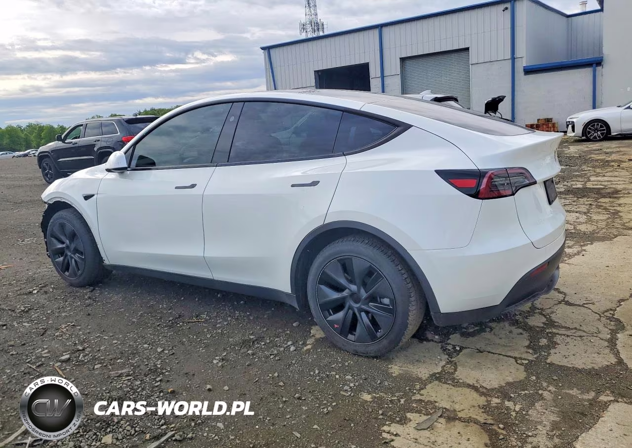 2025 Tesla Model Y VIN:7SAYGDEE5SF290334 - 2