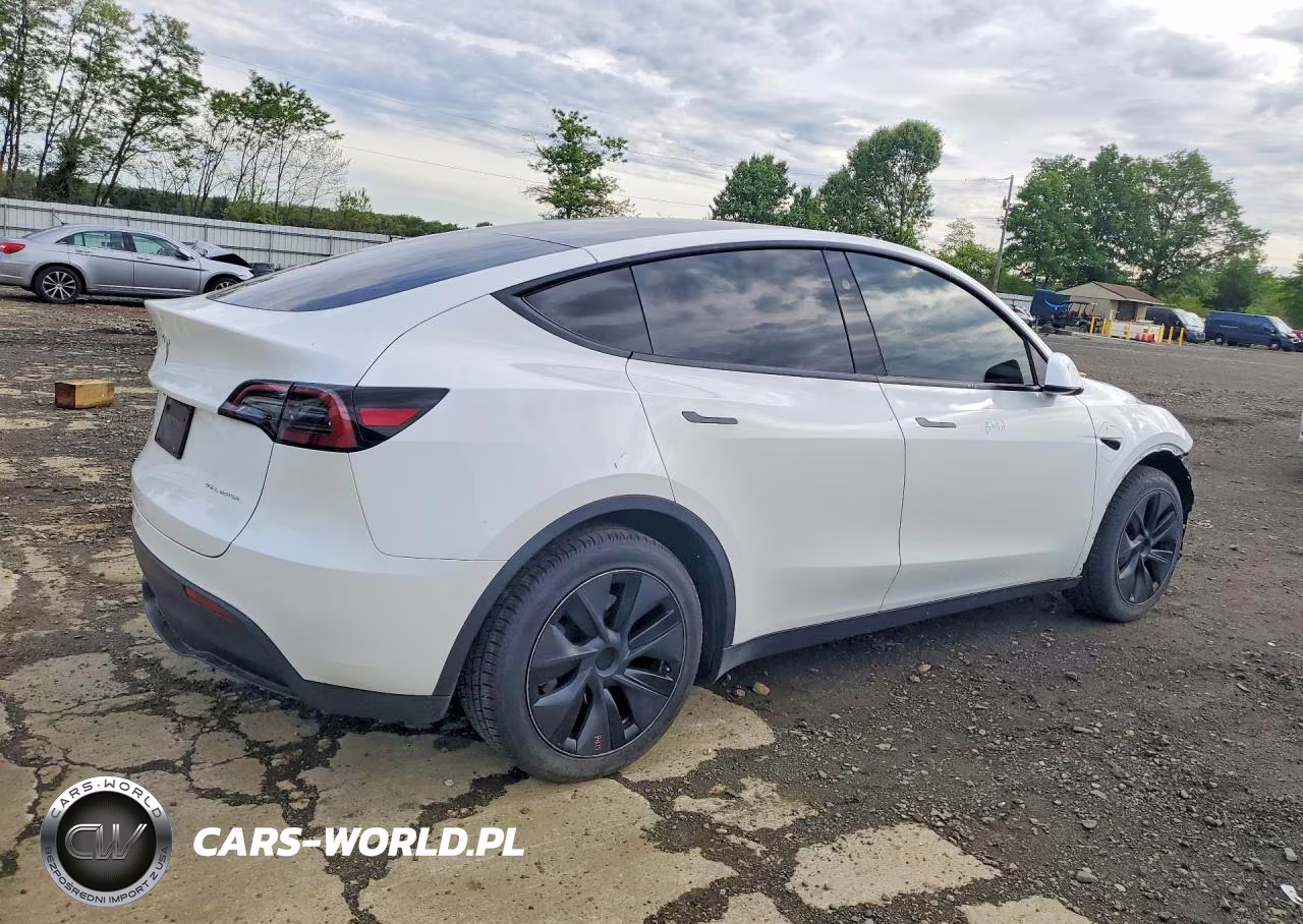 2025 Tesla Model Y VIN:7SAYGDEE5SF290334 - 3