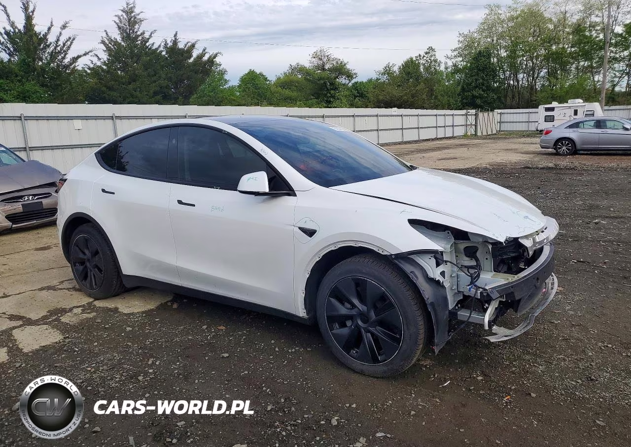 2025 Tesla Model Y VIN:7SAYGDEE5SF290334 - 4
