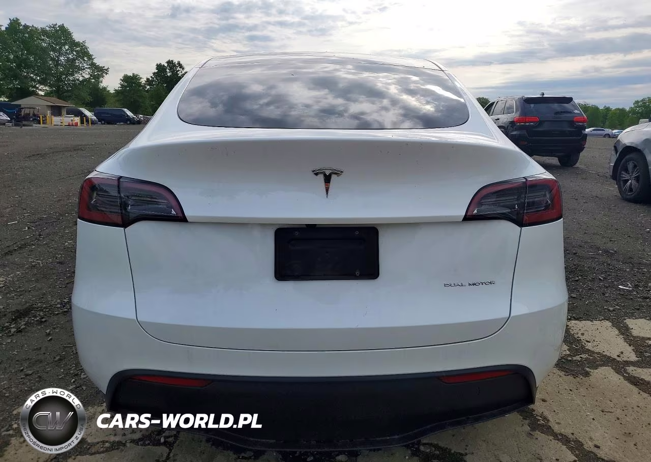 2025 Tesla Model Y VIN:7SAYGDEE5SF290334 - 6