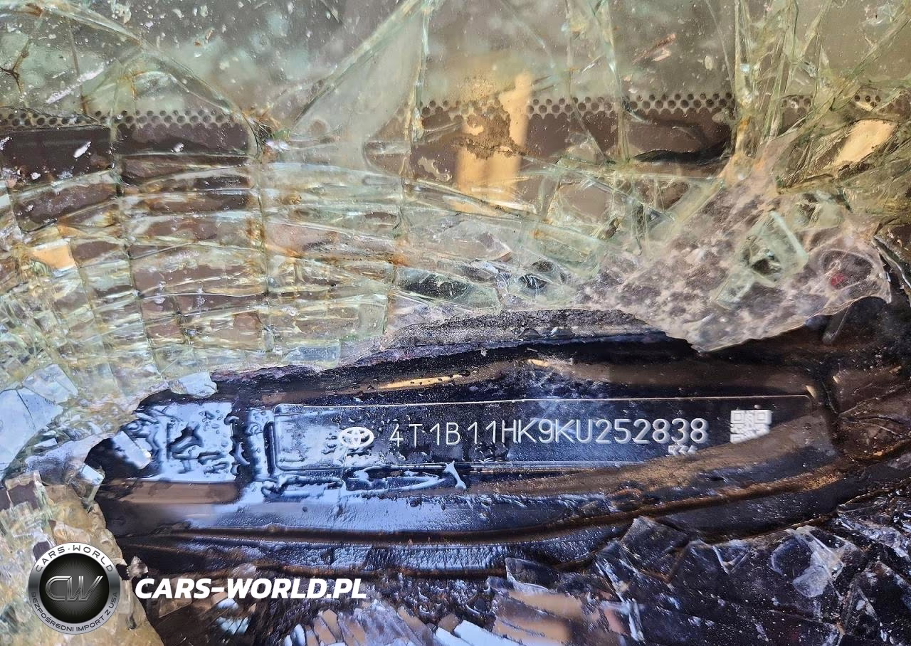 2019 Toyota Camry Se VIN:4T1B11HK9KU252838 - 13
