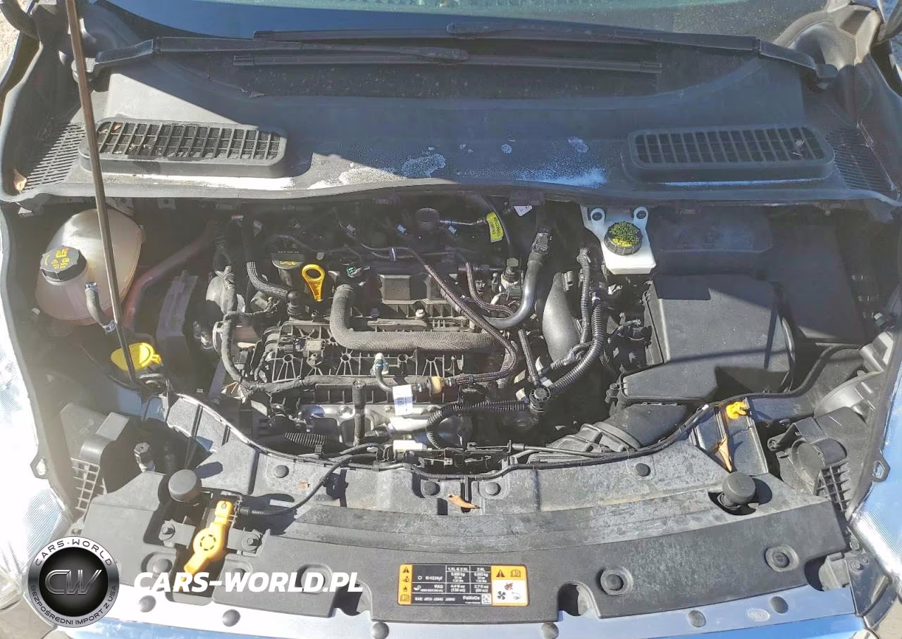 2017 Ford Escape Se VIN:1FMCU0GD2HUA19966 - 12