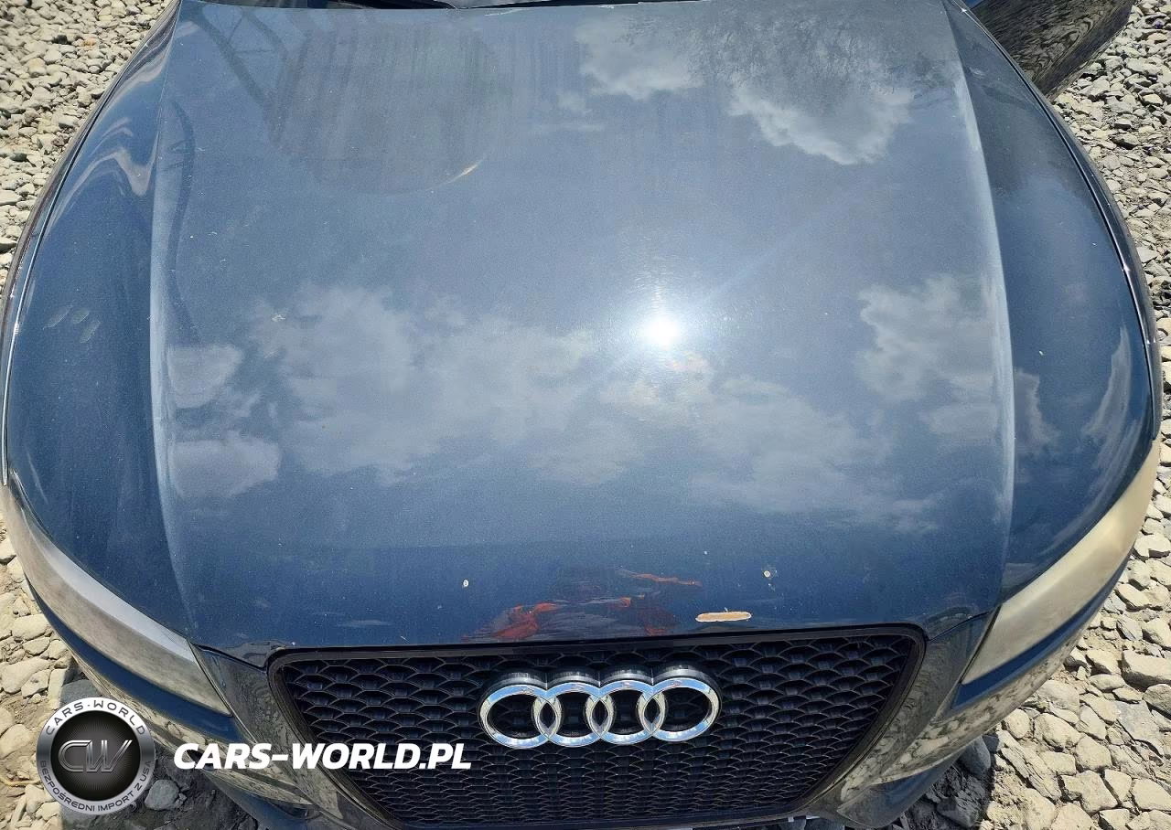 2009 Audi S5 Quattro VIN:WAURV78T49A001334 - 11