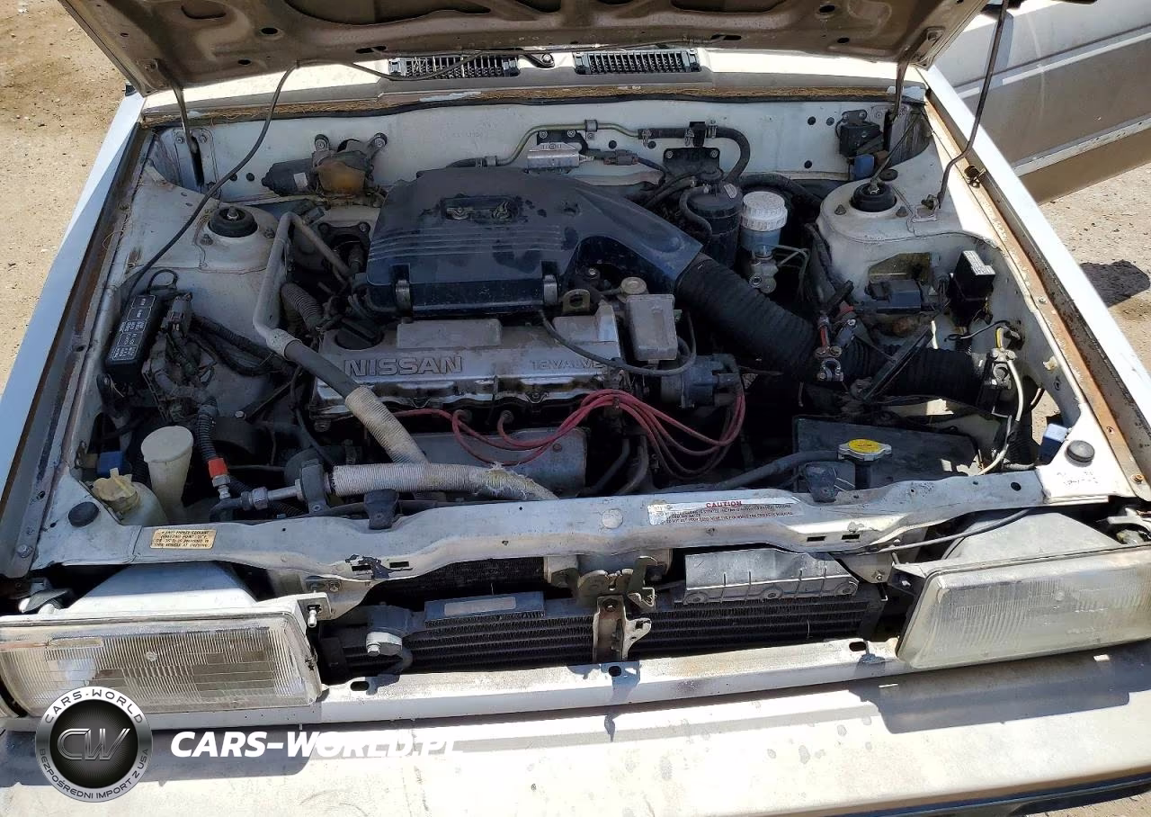 1990 Nissan Sentra Base VIN:1N4GB22B8LC703650 - 11