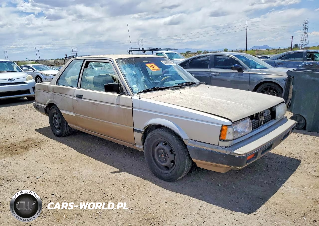 1990 Nissan Sentra Base VIN:1N4GB22B8LC703650 - 4