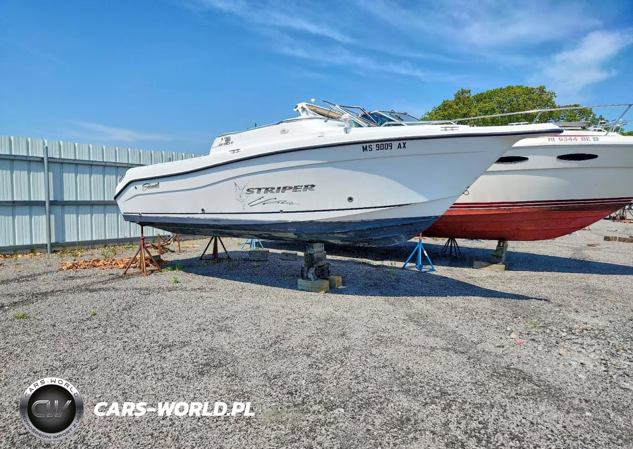 2004 Seaswirl Boat