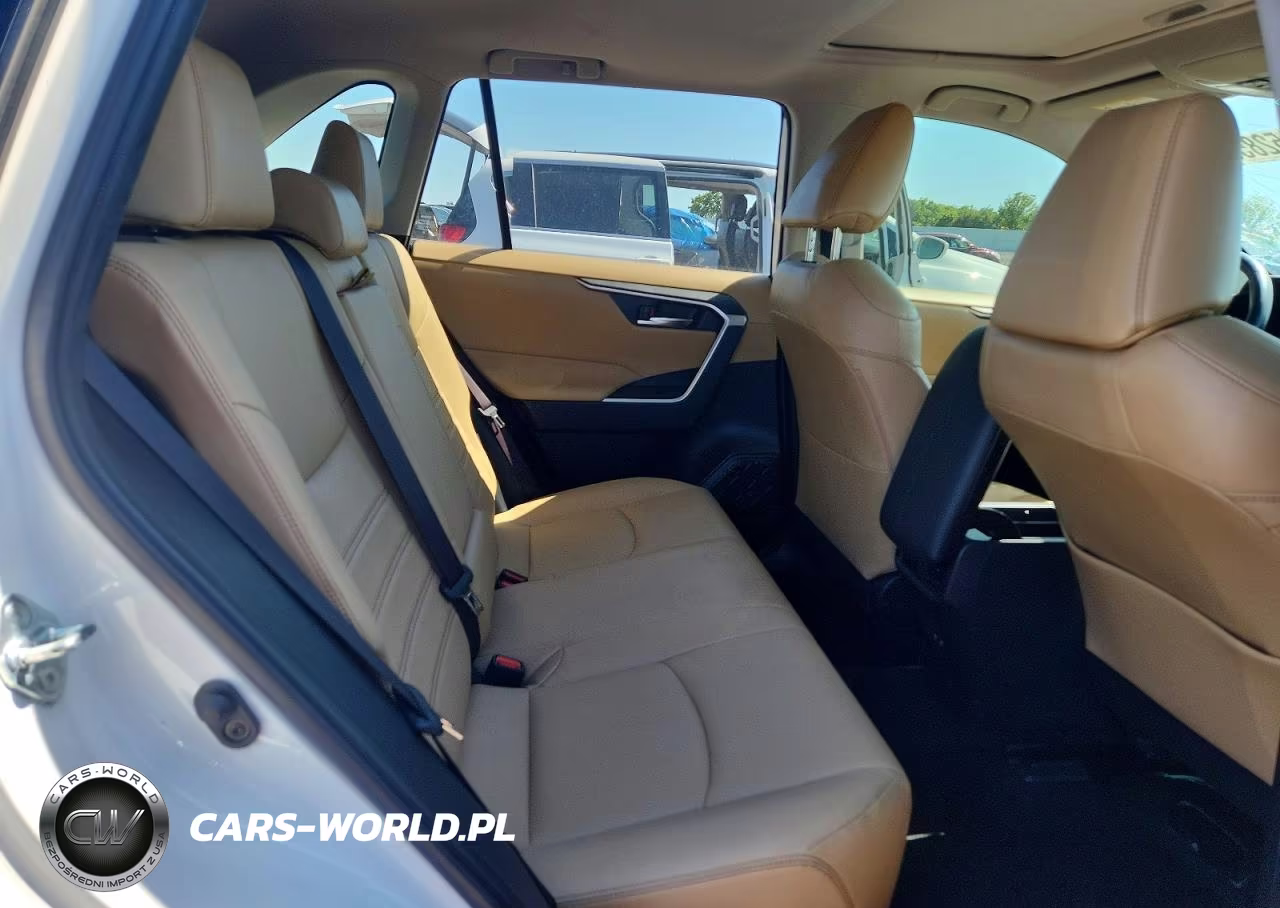 2019 Toyota Rav4 Xle Premium VIN:JTMC1RFV1KD019945 - 10