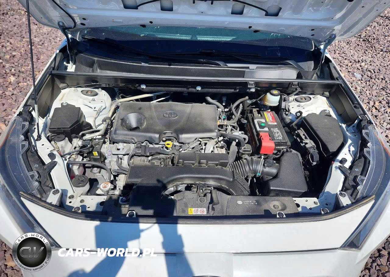 2019 Toyota Rav4 Xle Premium VIN:JTMC1RFV1KD019945 - 11