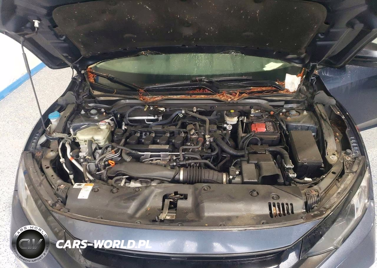 2020 Honda Civic Exl VIN:19XFC1F72LE203799 - 11