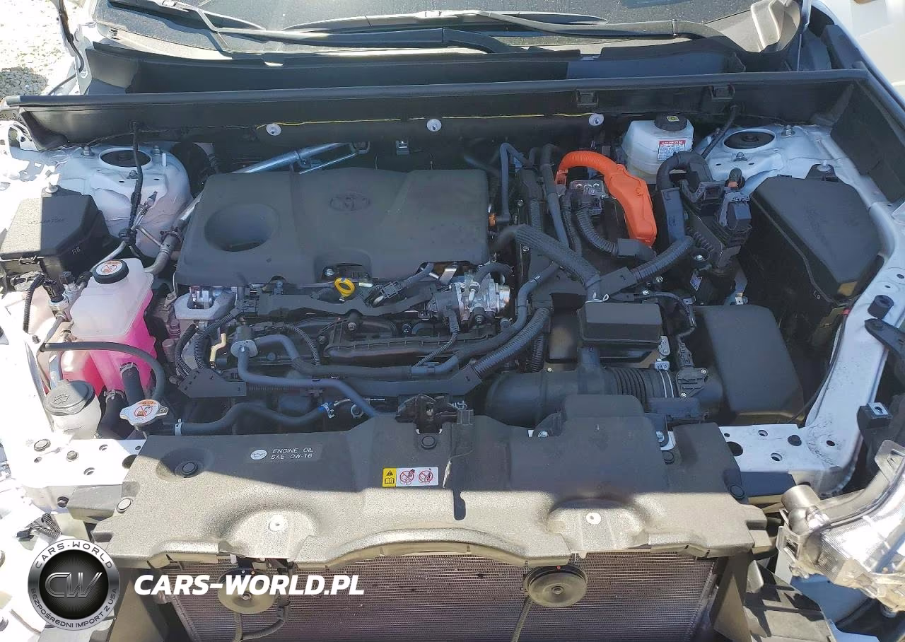 2025 Toyota Rav4 Hybrid Xle VIN:JTMRWRFV4SD345251 - 12