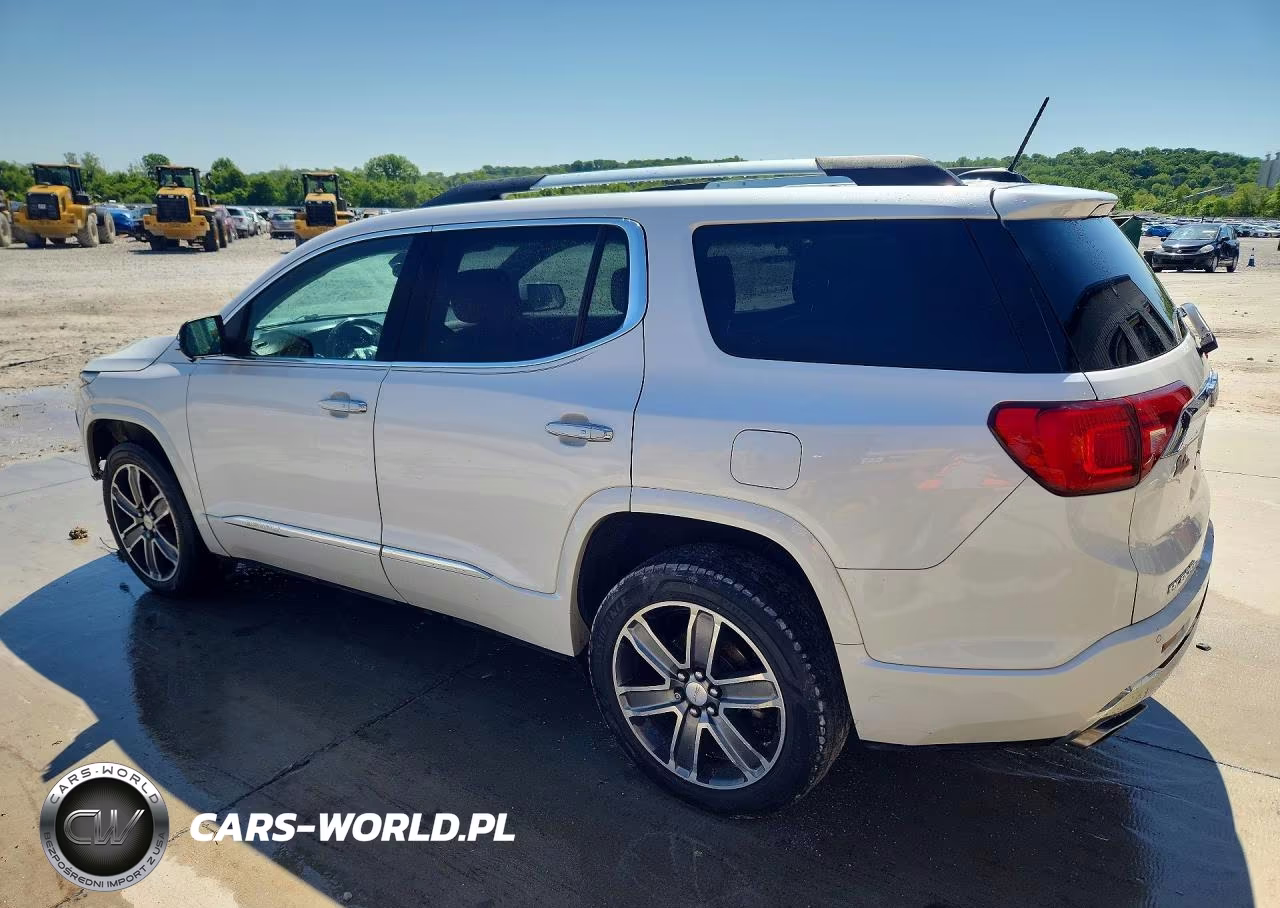 2017 GMC Acadia Denali VIN:1GKKNPLSXHZ301919 - 2