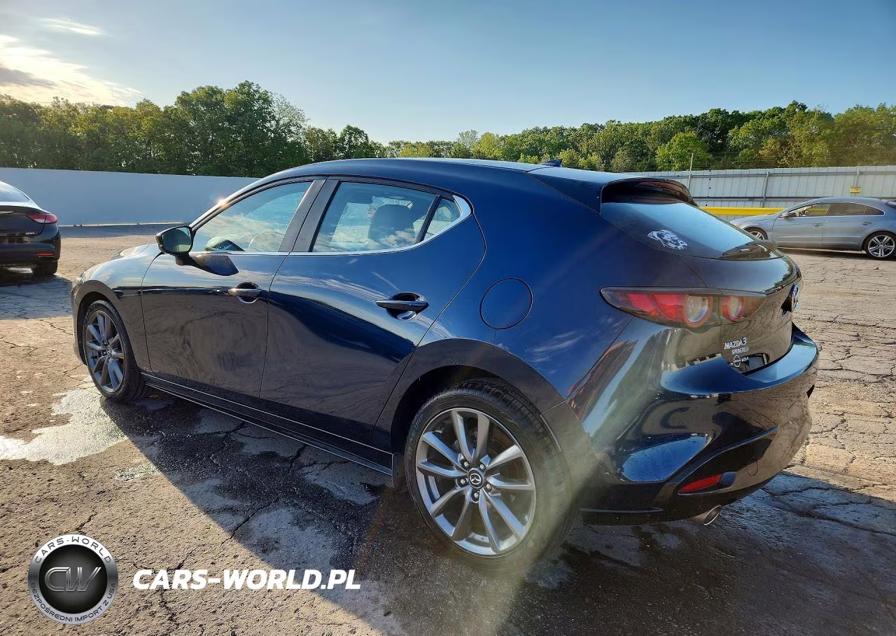 2019 Mazda 3 Preferred VIN:JM1BPAMM9K1117080 - 2