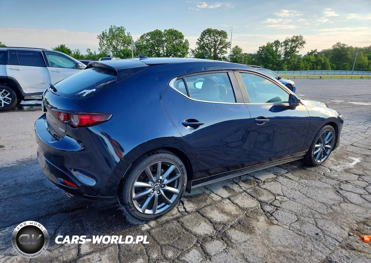 2019 Mazda 3 Preferred VIN:JM1BPAMM9K1117080 - 3