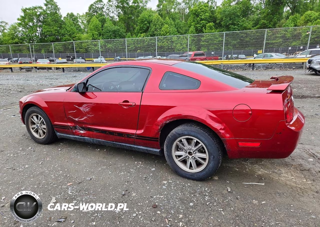2005 Ford Mustang VIN:1ZVHT80N855259881 - 2