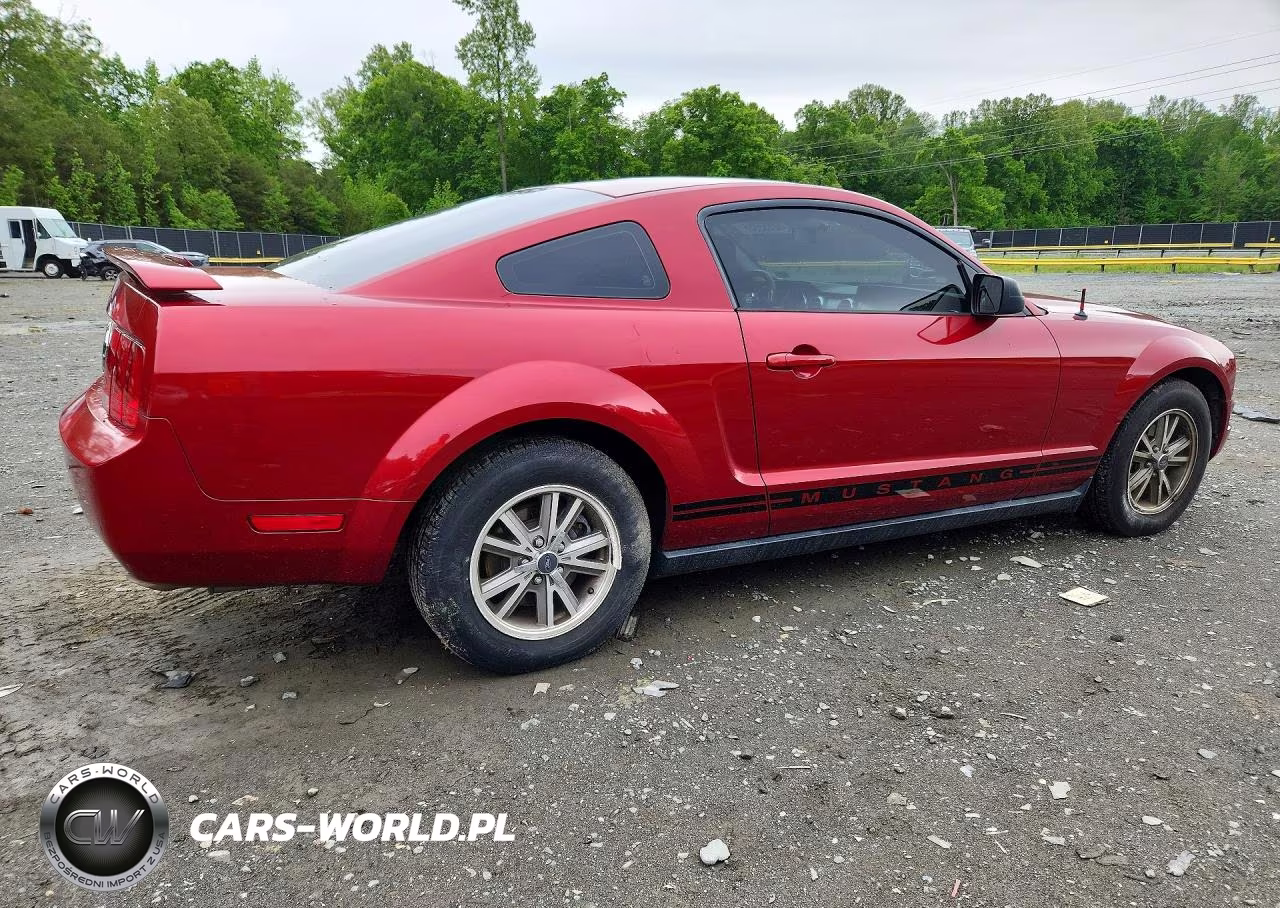 2005 Ford Mustang VIN:1ZVHT80N855259881 - 3