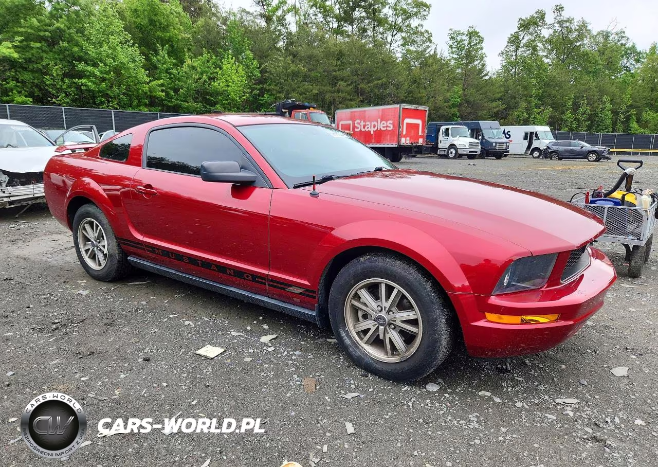 2005 Ford Mustang VIN:1ZVHT80N855259881 - 4
