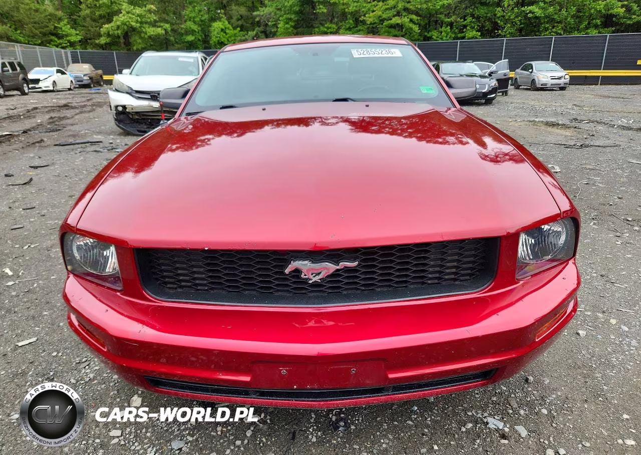 2005 Ford Mustang VIN:1ZVHT80N855259881 - 5