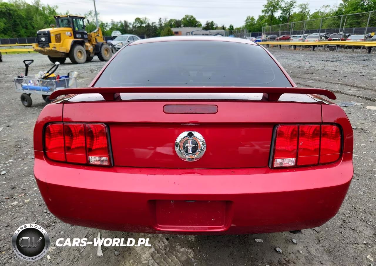 2005 Ford Mustang VIN:1ZVHT80N855259881 - 6