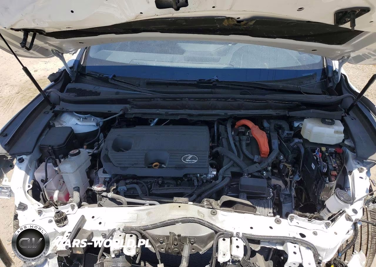 2024 Lexus Rx 350H Base VIN:2T2BBMCAXRC053933 - 12
