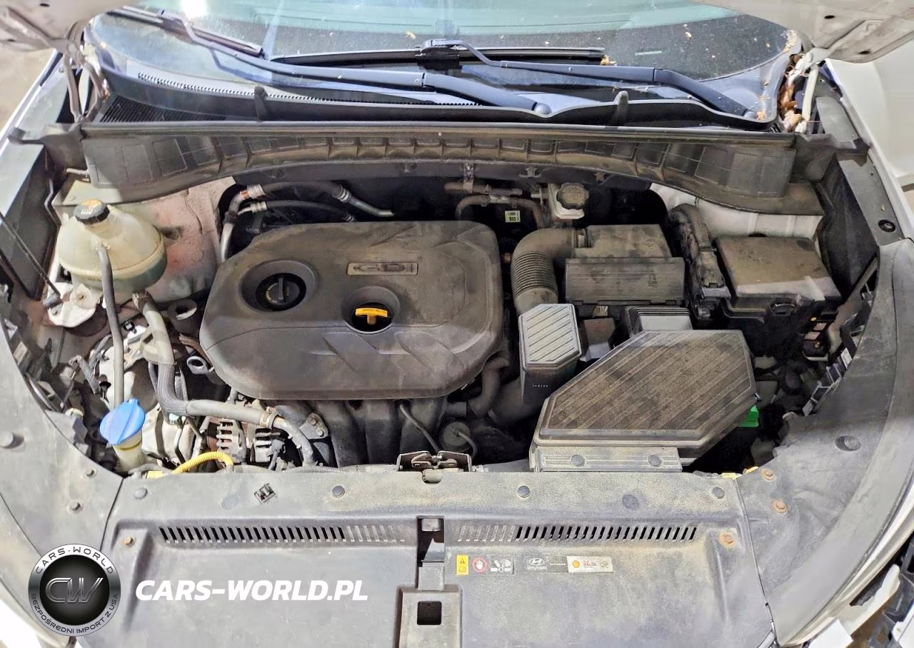 2016 Hyundai Tucson Se VIN:KM8J3CA49GU164036 - 12