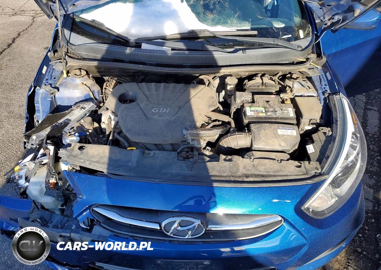 2016 Hyundai Accent Se VIN:KMHCT5AE3GU262038 - 11
