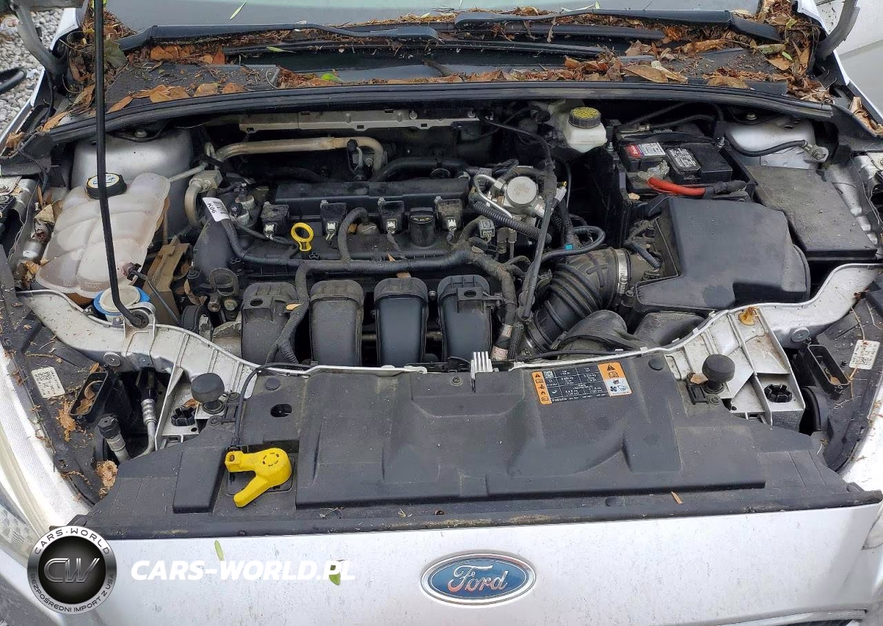 2018 Ford Focus Se VIN:1FADP3F26JL316385 - 11