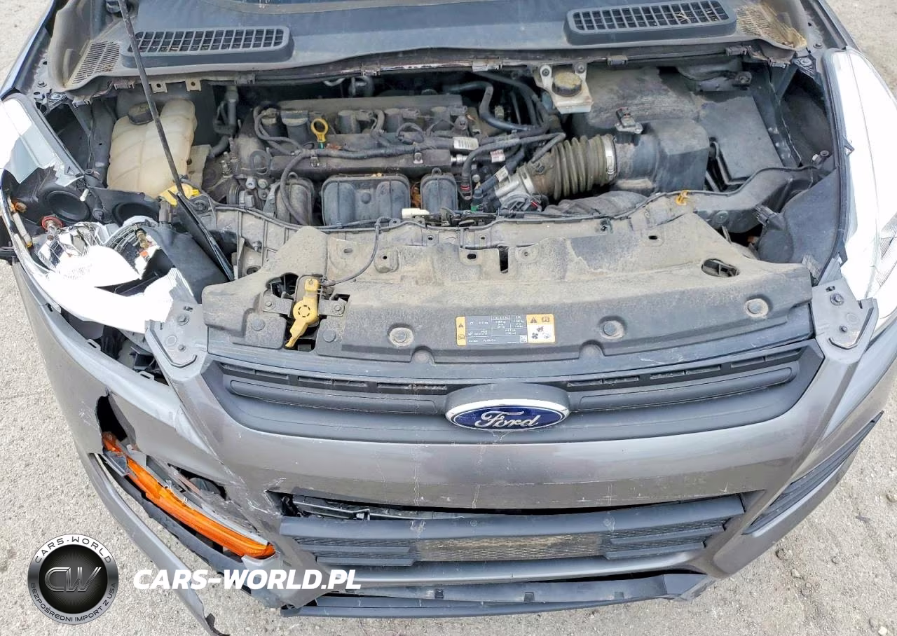 2014 Ford Escape S VIN:1FMCU0F76EUC98541 - 12