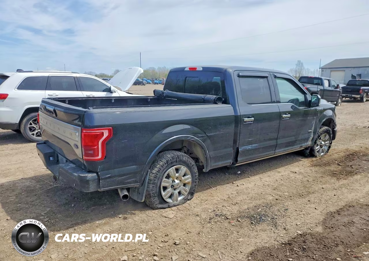 2015 Ford F150 Supercrew VIN:1FTFW1EG1FFB44540 - 3
