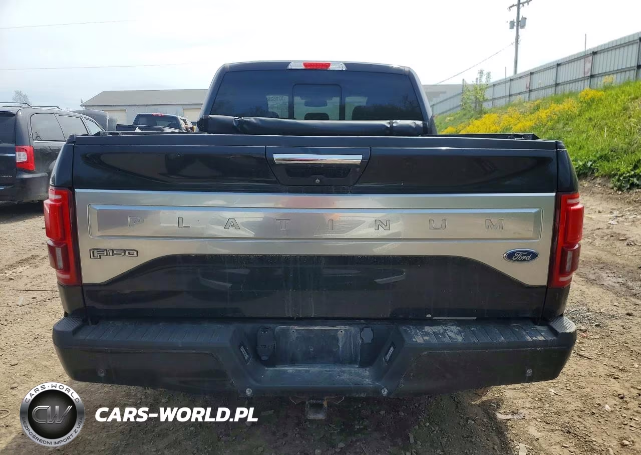 2015 Ford F150 Supercrew VIN:1FTFW1EG1FFB44540 - 6