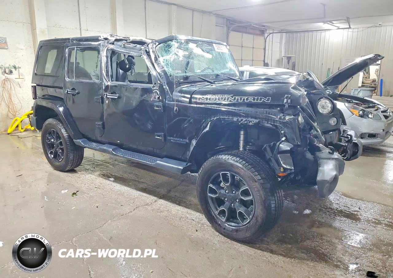 2017 Jeep Wrangler Unlimited Sahara VIN:1C4BJWEG4HL620603 - 4